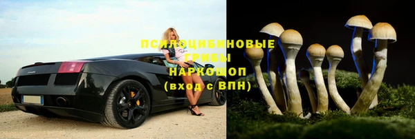 таблы Осинники