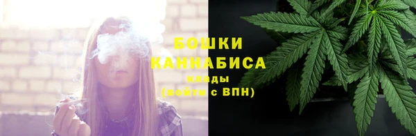 таблы Осинники
